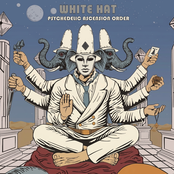 Psychedelic Ascension Order