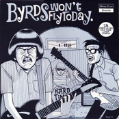 Byrds Won't Fly Today