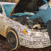 Hiding Places: The Fly