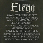Elegy Sampler 69