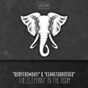The Elephant in the Room