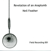 Revelation of An Anaplumb