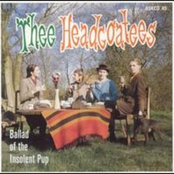 What Once Was by Thee Headcoatees