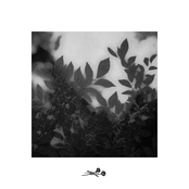 Falsehoods: Unreleased Demos