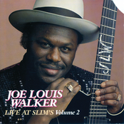 Blue Guitar by Joe Louis Walker