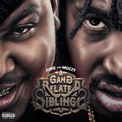 Gang Related Siblings