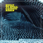 Built To Spill Caustic Resin