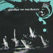 Yelloueze by Goodbye Mr. Mackenzie
