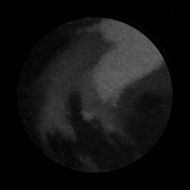 Relative Persuasions