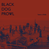 Black Dog Prowl: Have a Little