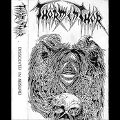 Dissolved in Absurd (Demo)