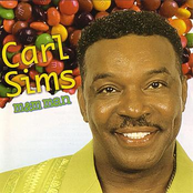 Seventeen Days Of Loving by Carl Sims