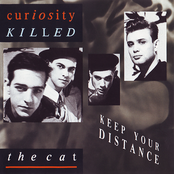 Red Lights by Curiosity Killed The Cat
