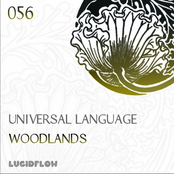 Universal Language: Woodlands