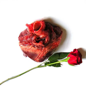 The End Of Everything