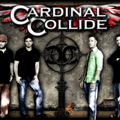 cardinal collide