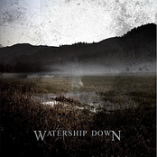 Watership Down - EP