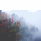 Reverie in the Trees (Sound Bath)