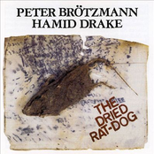 The Dried Rat-Dog