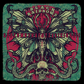 Cosmic Flower Blues by Black Rainbows