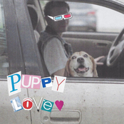 This Wild Life: Puppy Love