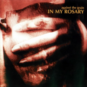 Mr Revenge by In My Rosary