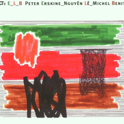 Free At Last by Peter Erskine, Nguyên Lê, Michel Benita