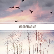 Wooden Arms
