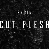 Cut Flesh