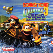 donkey kong country 3 ost