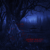 Mark Morton: Anesthetic