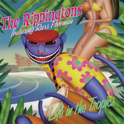 The Rippingtons: Life in the Tropics