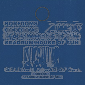 Seadrum by Boredoms