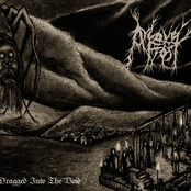 Dragged Into The Void