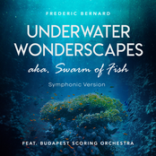 Underwater Wonderscapes Aka. Swarm of Fish (feat. Budapest Scoring Orchestra) (Symphonic Version) - Single