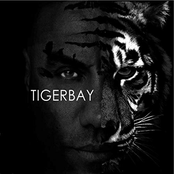 Tigerbay