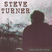 The Idiot Blues by Steve Turner