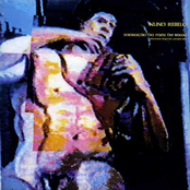 Sagração Do Mês De Maio