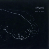 Scapegoat Chronicles by Ribozyme