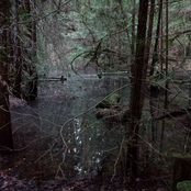 I'll Be By Your Bedside