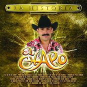 Apartame Esta Noche by El Chapo De Sinaloa