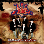 la ley de michoacan