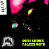 Cosce aliene e ragazzi morti