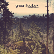 Green Tea Box