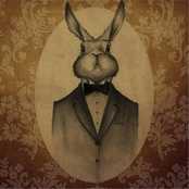 See the Forest, See the Trees