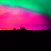 Wood For The Trees / Till We Meet Again