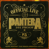 I Can't Hide by Pantera