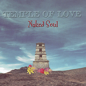 Temple Of Love