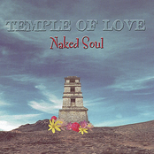 Naked Soul: Temple Of Love