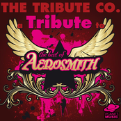 A Tribute to the Best of Aerosmith